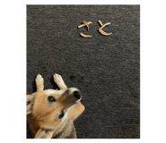 853379945