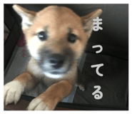 853379946