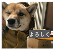 853379957