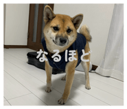 853379962