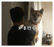 853379964