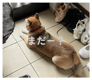 853379965