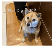 853379966