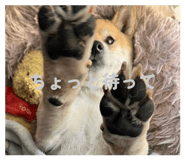 853379980