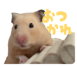 853380218