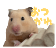 853380218