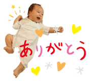 853380401