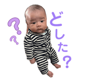 853380469