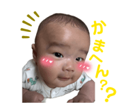 853380485