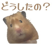 853380530