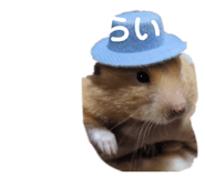 853380531