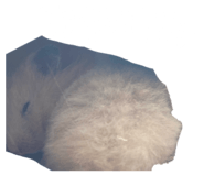 853380533