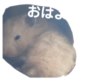 853380534