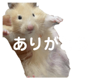 853380535