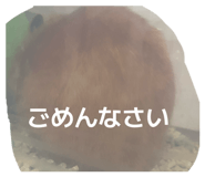 853380540
