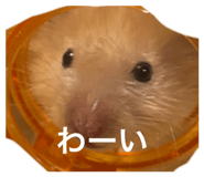853380543