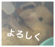 853380544