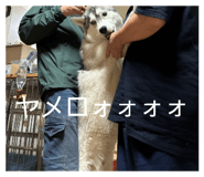 853381932