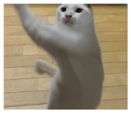 853381950