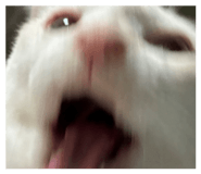 853381952