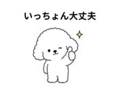 853381955