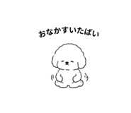 853381957