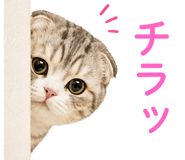 853382721