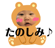 85338304