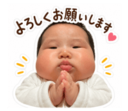 853384540