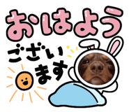 853385534