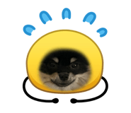 853385850