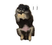853385861