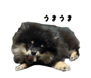 853385868