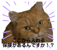 853385984