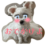 853386028