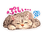 853386034