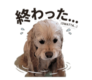 853386197