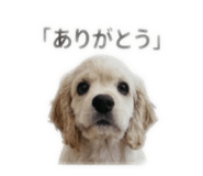 853386200
