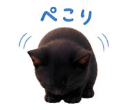 853387362
