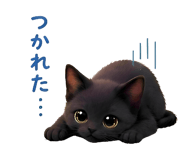 853387369