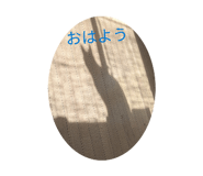 853389719