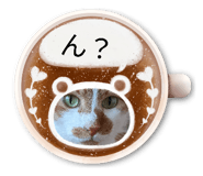 853389736
