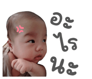 853401420