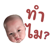 853401424