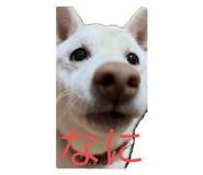 853402498