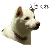 853402499