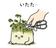 853403123