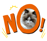 853403520