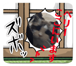 853403532