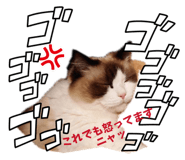 853403533